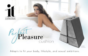 Perfect Pleasure Cushion toy mount